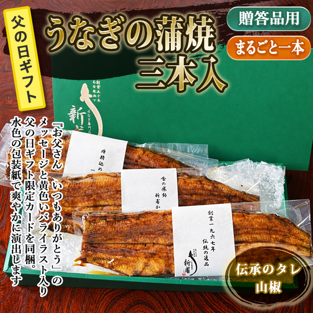 【2026父の日ギフト】うなぎの蒲焼三本　伝承のタレ・山椒付　【ギフト箱梱包】FG- KL3